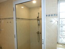 Cairnhill Plaza (D9), Apartment #553149771
